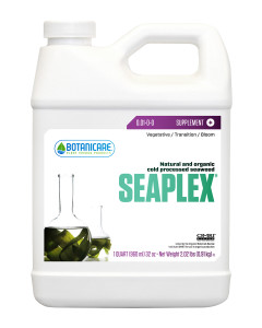 seaplex